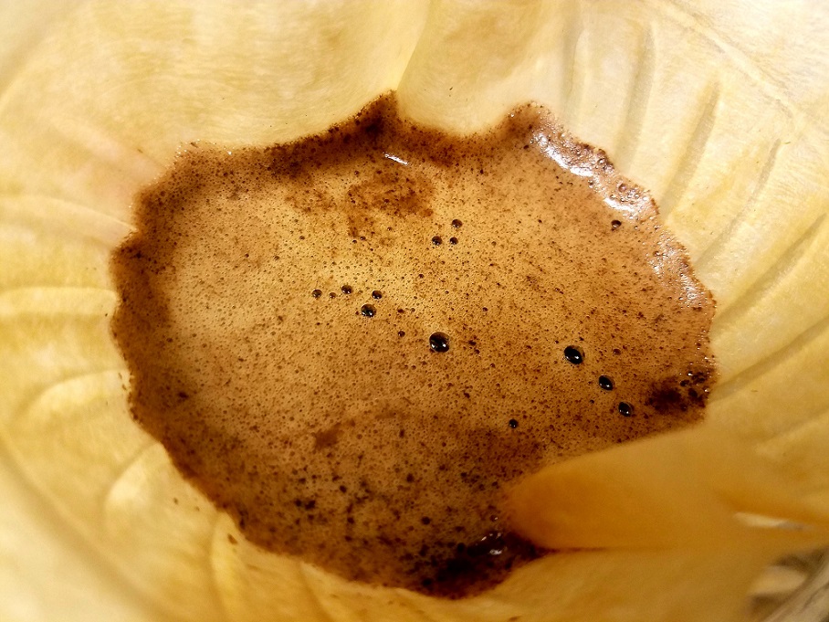 coffee soaking into a paper pourover filter
